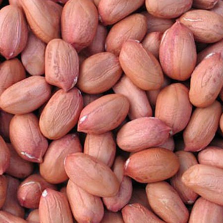 PEANUT KERNEL - 15KG BAG