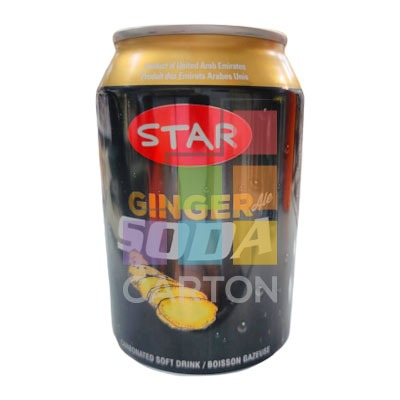STAR SODA 24*300ML GINGER
